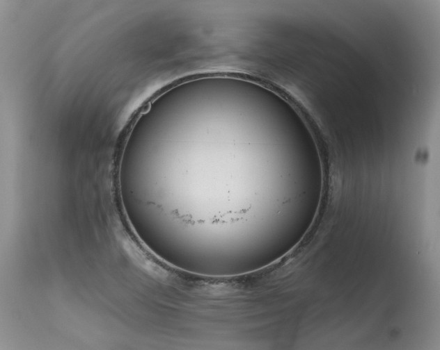 X0000115631460200911101426