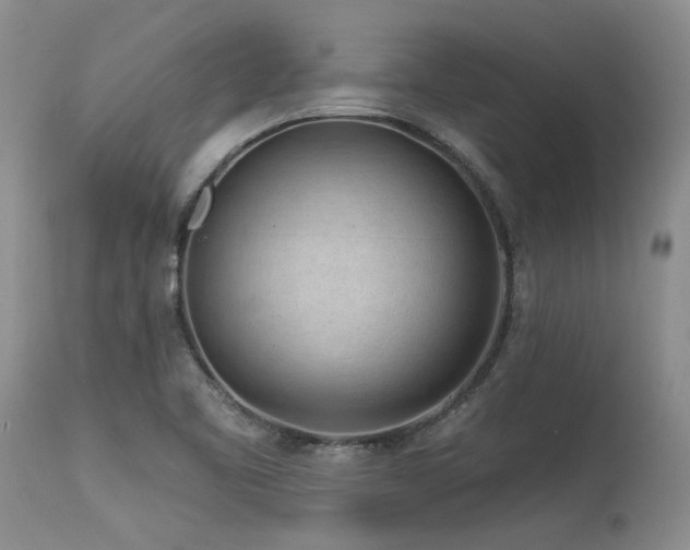 X0000115631461200911101426