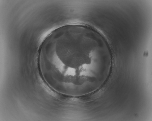 X0000115631463200911101426