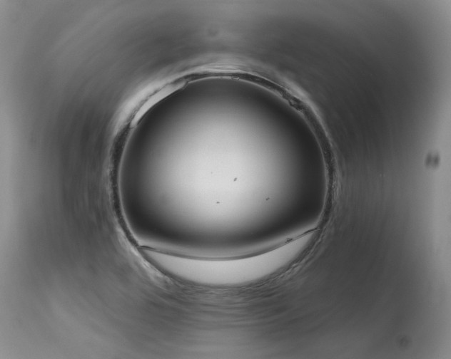 X0000115631464200911101426