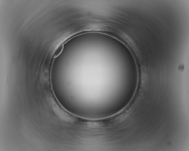 X0000115631465200911101426