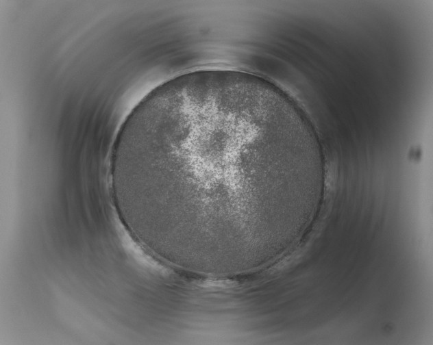 X0000115631466200911101426