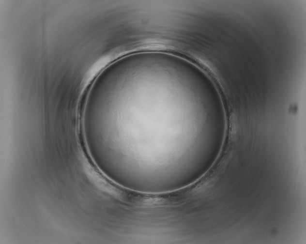 X0000115631467200911101426