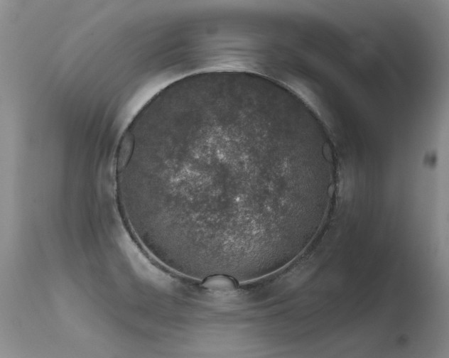 X0000115631468200911101426