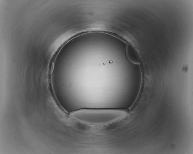 X0000115631469200911101426