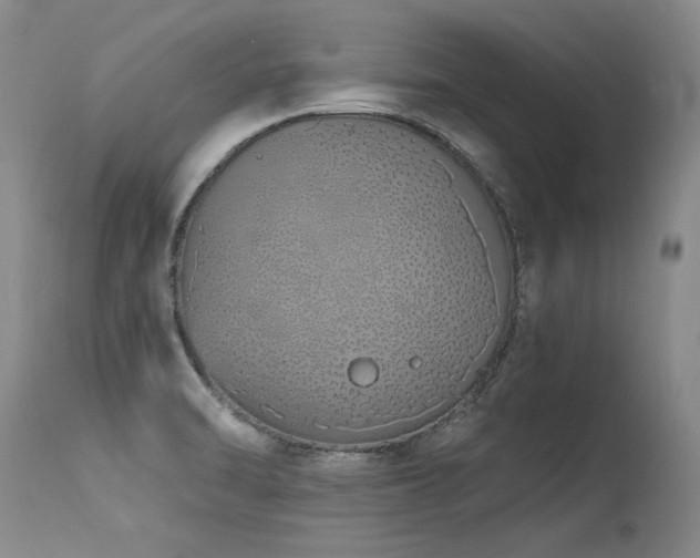 X0000115631470200911101426