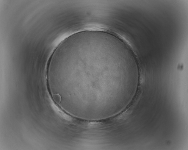 X0000115631471200911101426
