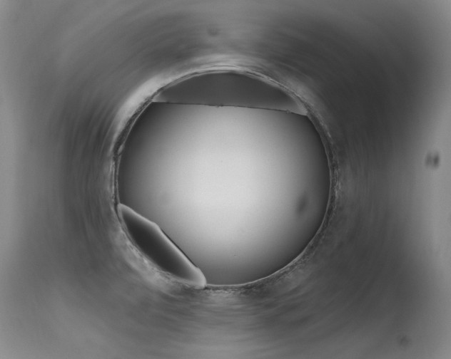 X0000115631472200911101426