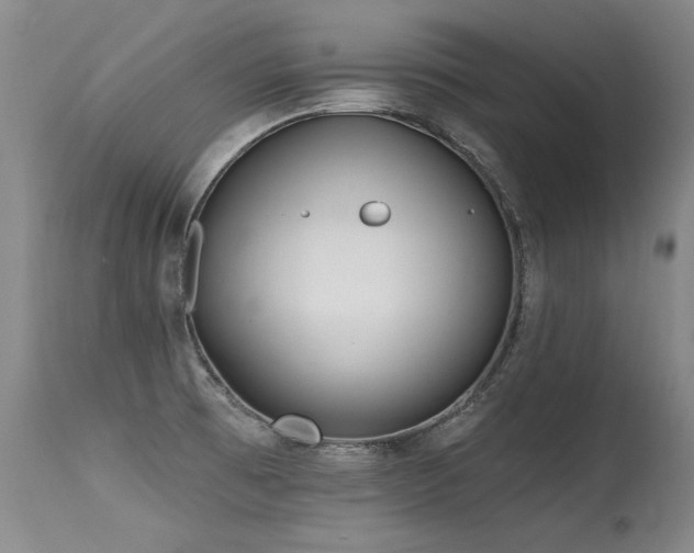 X0000115631473200911101426