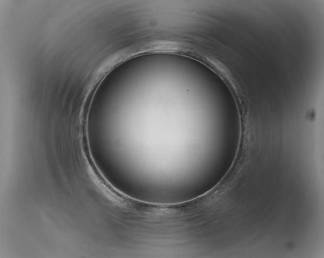 X0000115631475200911101426