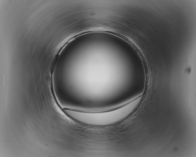 X0000115631476200911101426