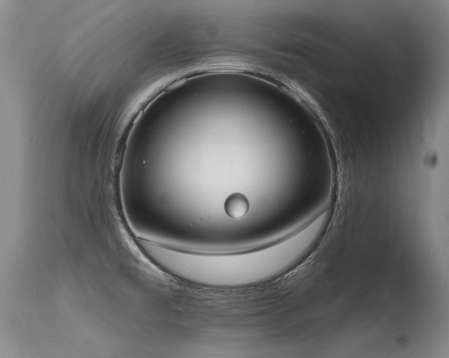 X0000115631477200911101426