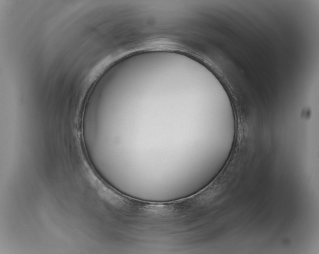 X0000115631478200911101426