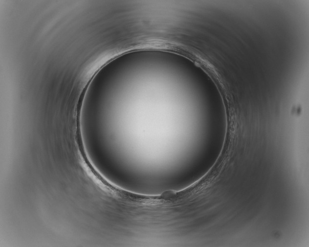 X0000115631479200911101426