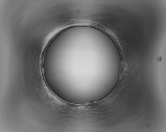 X0000115631480200911101426