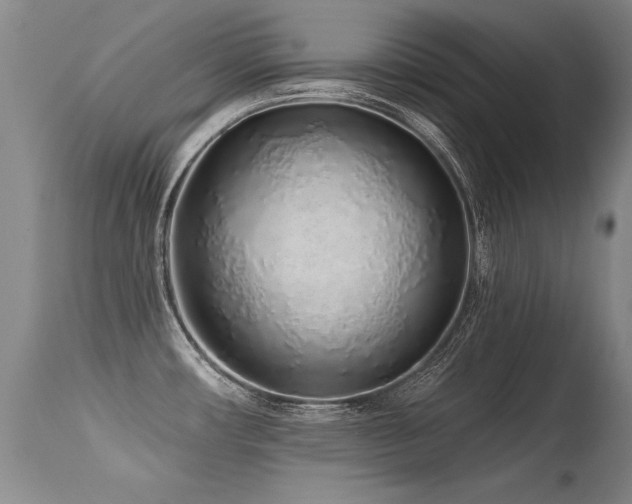 X0000115631482200911101426