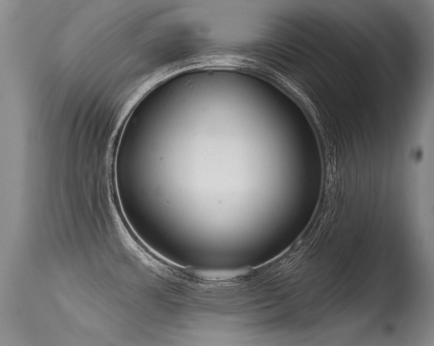 X0000115631483200911101426