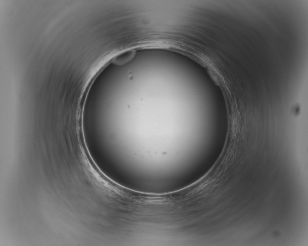 X0000115631484200911101426