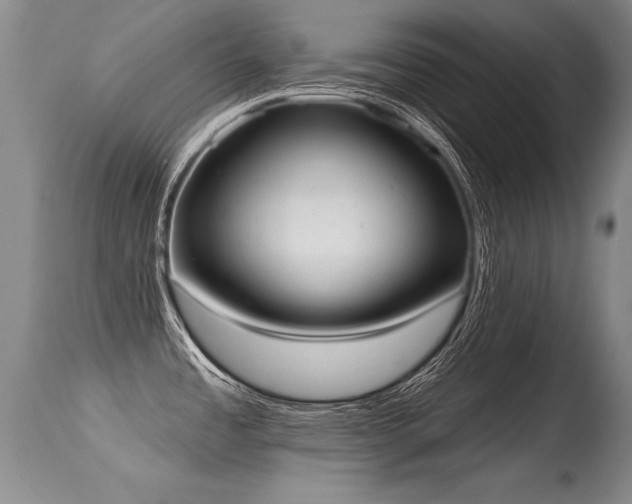 X0000115631485200911101426