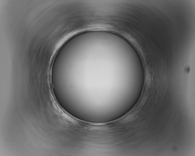 X0000115631486200911101426