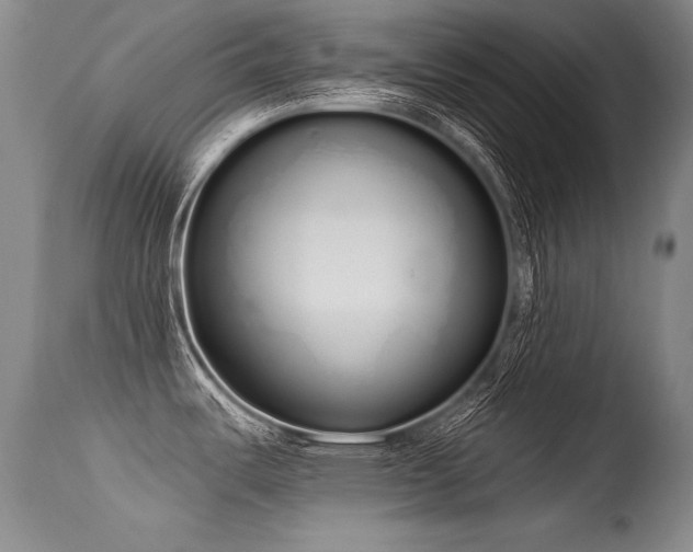 X0000115631487200911101426