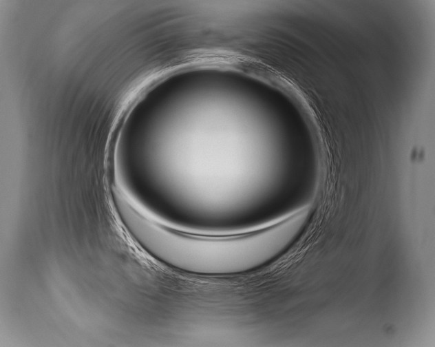 X0000115631488200911101426