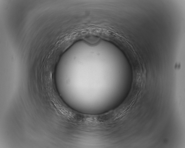 X0000115631489200911101425