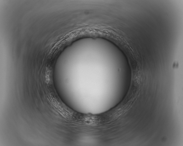X0000115631490200911101425