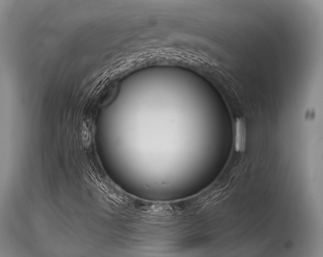 X0000115631491200911101425