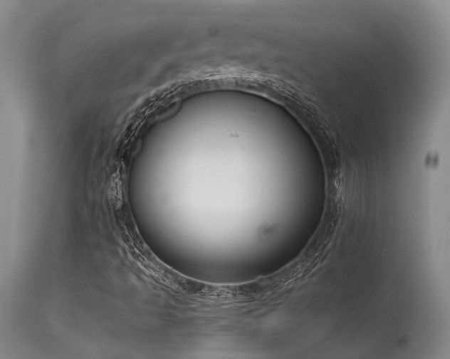 X0000115631493200911101425