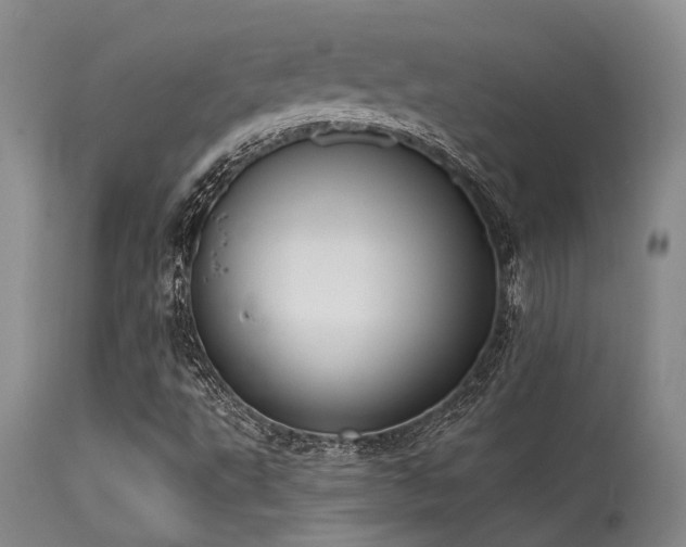 X0000115631495200911101426