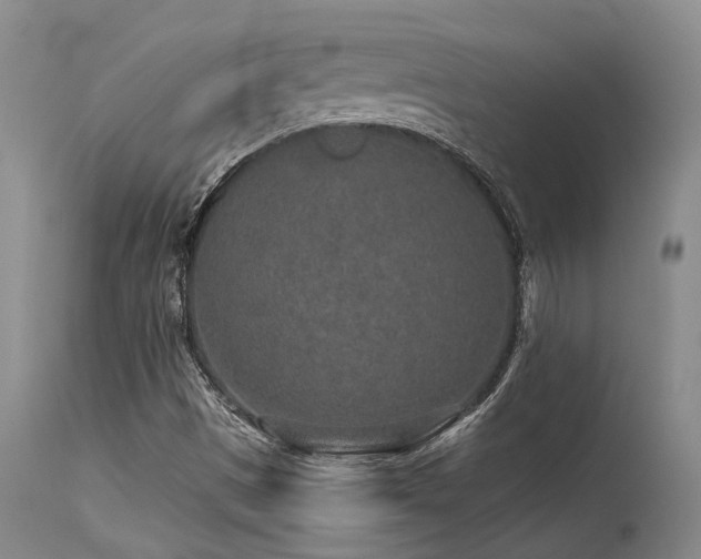 X0000115631497200911101426