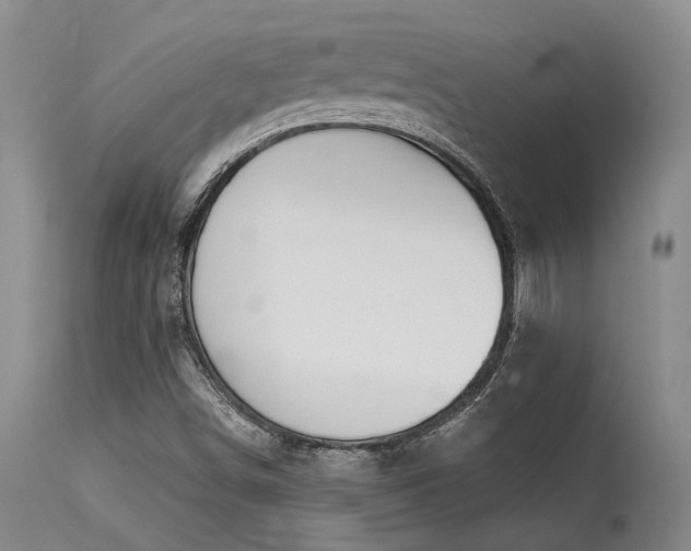 X0000115631498200911101426