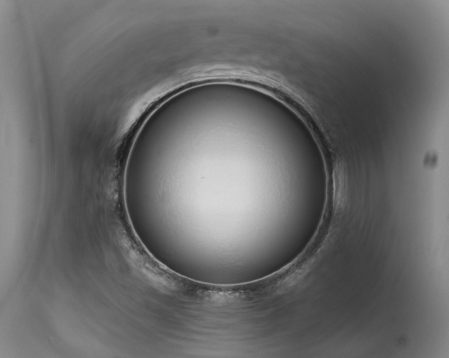 X0000115631501200911101426