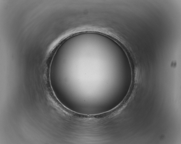 X0000115631502200911101426