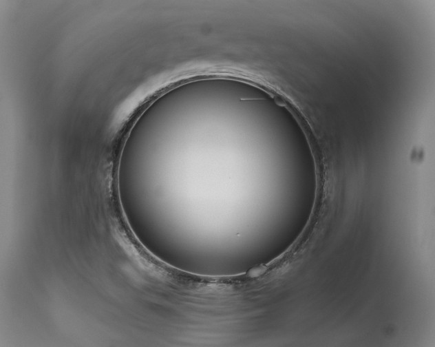 X0000115631503200911101426