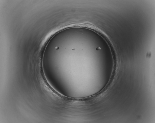 X0000115631506200911101426