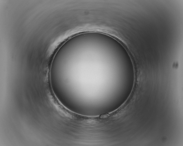 X0000115631507200911101426