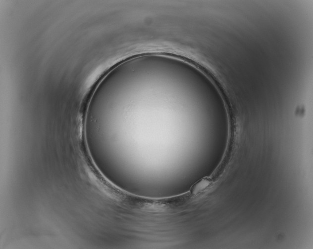 X0000115631509200911101426