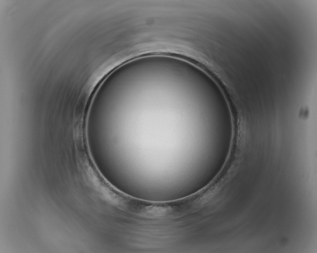 X0000115631513200911101426