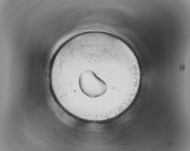 X0000115631514200911101426