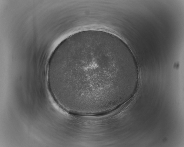 X0000115631515200911101426