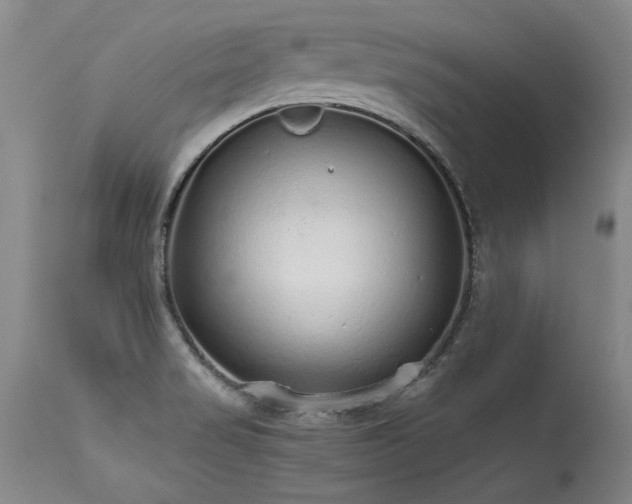 X0000115631517200911101426