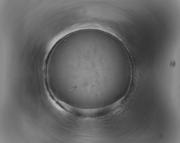 X0000115631519200911101426