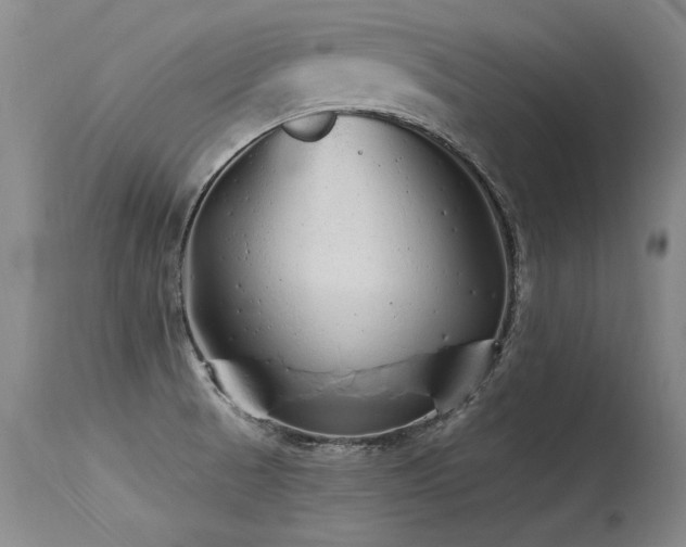 X0000115631521200911101426