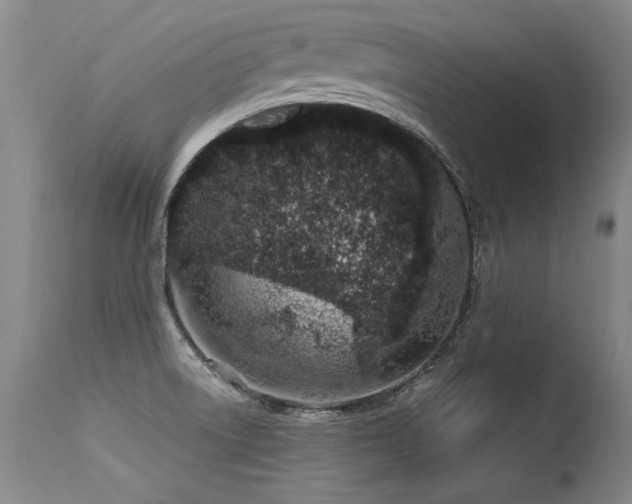 X0000115631522200911101426