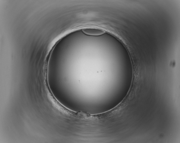 X0000115631526200911101426