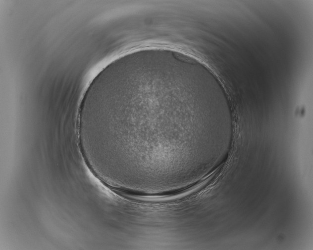 X0000115631527200911101426