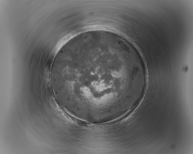 X0000115631529200911101426