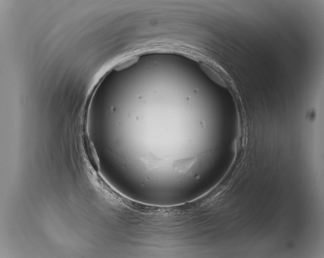 X0000115631530200911101426